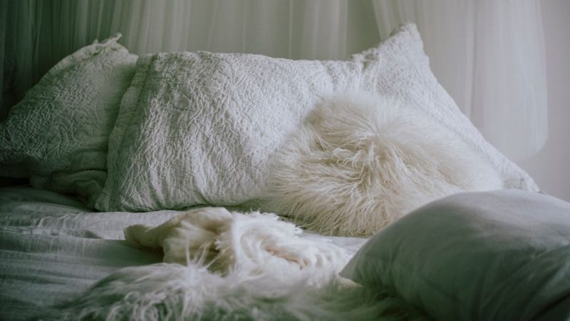 Coussin Berbère Laine